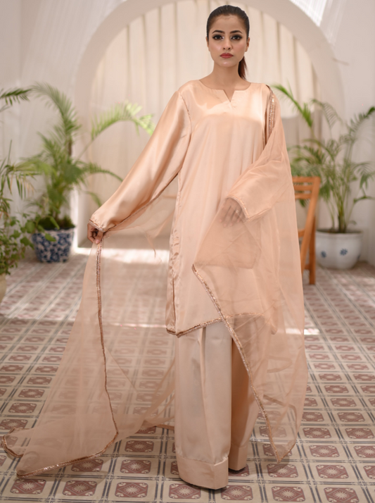 Beige Silk Farshi (3 Pieces)